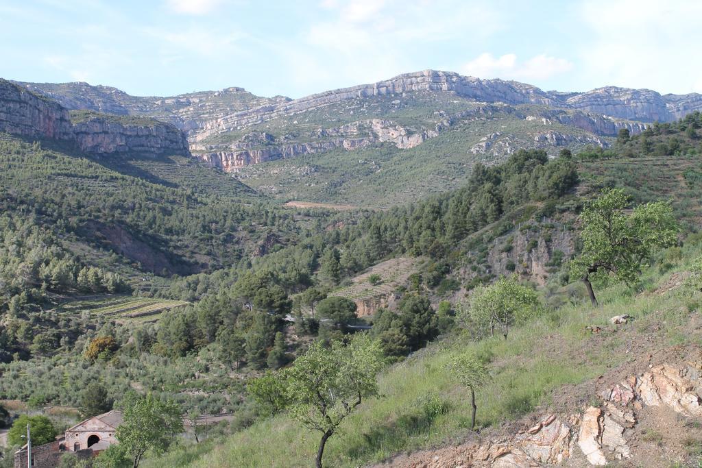 Cal Millo Villa Vilella Alta Bagian luar foto